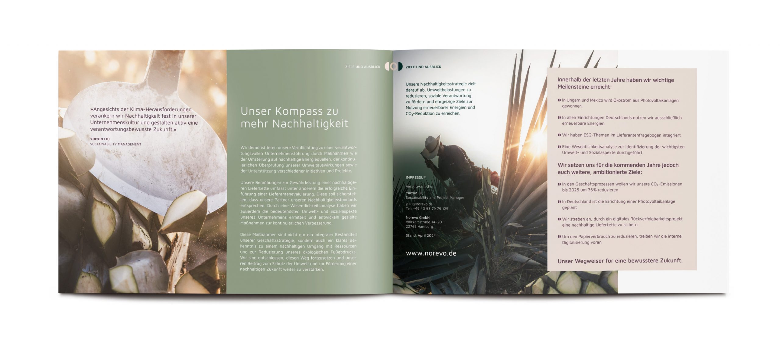 Projekt_Innenseiten_Landscape_2800x1230_1