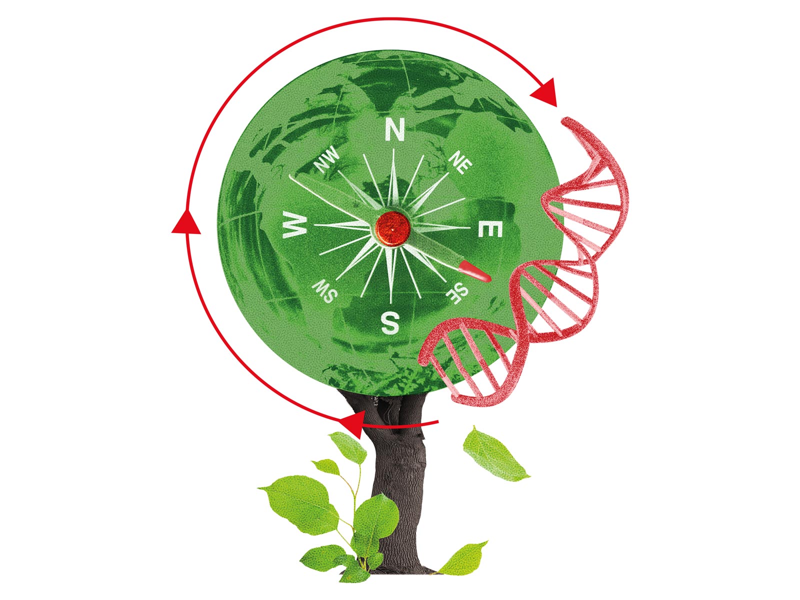 nachhaltiges-handeln-geschaeftsmodell-saria-2